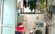 thum-9165452_1ChSXQTFrg_1731985462.jpg