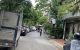 thum-m_3rnFifTRVe_1732287190.jpg