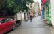 thum-m_Go3hau90Si_1732256738.jpg