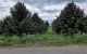 thum-m_stRKP7cbEZ_1732271659.jpg