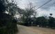 thum-m_xGWSz3w9Fn_1732264095.jpg