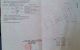 thum-9166211_seFOAd4x7m_1732329181.jpeg