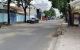 thum-9166216_IRf1rO7LxT_1732329880.jpg