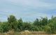 thum-9166243_10RjUtLrMS_1732337000.jpg
