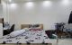 thum-9166315_ufmSQNpTPb_1732358766.jpg