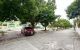 thum-m_Sgc2iDj8ON_1732351737.jpg
