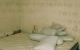 thum-9166411_5pxOQUodPz_1732437824.jpg