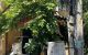 thum-9166444_snaTgX2hKi_1732455922.jpg