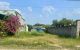 thum-m_ZwCgt9vbTK_1732413744.jpg