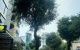 thum-9166608_CTgn23dbXc_1732520030.jpg