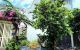 thum-9166691_Z6wPBLEnFD_1732543782.jpg