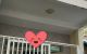thum-m_TdIXx5lbvj_1732551495.jpg
