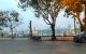 thum-9166779_saqOoR64lt_1732590676.jpg