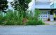 thum-9166838_6LaCyBVsuh_1732604115.jpg