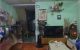 thum-9166921_RIgtx6ap31_1732618068.jpg