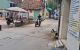 thum-9167028_F36bHcGof0_1732677176.jpg