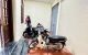 thum-9167059_71lCxzRaHN_1732683565.jpg