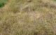 thum-9167076_7hTv3g5Ajp_1732690549.jpg