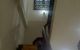 thum-9167178_sQwcLMRit3_1732717457.jpg