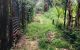 thum-m_idcSOFrm09_1732675864.jpg