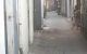 thum-9167260_0lXGrhkiSq_1732764085.jpg