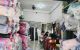 thum-9167262_kW7x4emuG6_1732764268.jpg