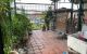 thum-m_INigKQDMPw_1732784261.jpg