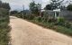 thum-m_NZwRCVXj6n_1732760318.jpg