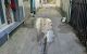 thum-9167522_Wb8ryCv0q9_1732867655.jpg