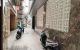 thum-m_tRHC8avScb_1732853124.jpg