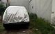 thum-m_oGYLrPZObw_1732950749.jpg