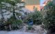 thum-m_BRwuLUTOIm_1732988259.jpg