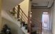 thum-9167956_exS4Qa9KNL_1733133408.jpg