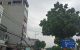 thum-m_H4SGatBjlF_1733126418.jpg