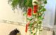 thum-9168022_oGrhx8vfyM_1733189687.jpg