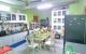 thum-9168197_fUsuv0GJ9V_1733227151.jpg