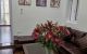 thum-9168221_rfit7vMKoD_1733236851.jpg