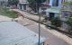 thum-9168443_uaRnfTymMV_1733331556.jpg