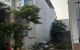 thum-9168471_Ckr4Q3qoem_1733365608.jpg