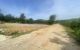 thum-9168515_EAu3clRfQe_1733370810.jpg