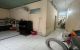 thum-9168532_WAYhMjP2R5_1733375757.jpg