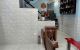 thum-9168580_3hEk2IJwNa_1733387220.jpg
