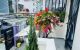 thum-9168647_NLeofu5BmH_1733445290.jpg