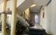 thum-9168807_LypXEnR6sm_1733486085.jpg