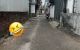 thum-m_C8VdgnJmwi_1733491044.jpg
