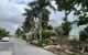 thum-9168908_PvgQtHuZI0_1733555858.jpg