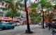 thum-m_hRnc1iMweE_1733538195.jpg