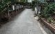 thum-9169047_d8jnIvqHom_1733647579.jpg