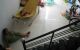 thum-9169072_LwBPf3Tnqj_1733665682.jpg