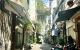 thum-9169203_HBbnZd3htM_1733734781.jpeg